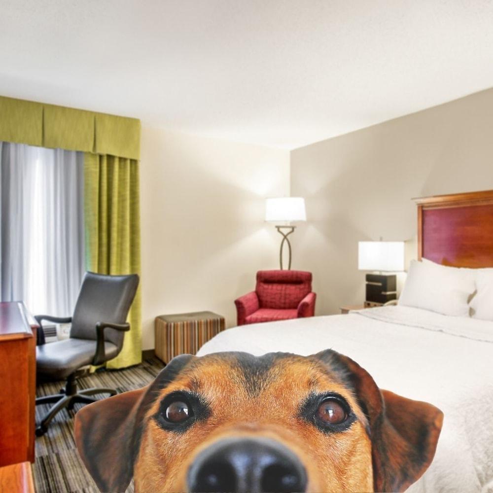 Hampton Inn Bowling Green Ky Kültér fotó
